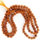 Show details for Free Shipping Rudraksha Mala Pack (6mm) Picture of Free Shipping Rudraksha Mala Pack (6mm)