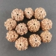 Rudraksha Beads Nepali Loose Rudraksha Beads Nepali Loose
