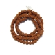 4 Mukhi Rudraksha String 4 Face Rudraksha String