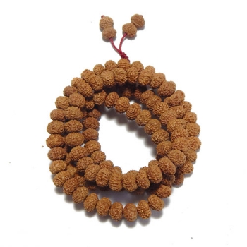 8 Face Rudraksha String 8 mukhi Rudraksha String