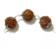 5 mukhi rudraksha combination 5 mukhi rudraksha combination