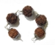 Health Shield Rudraksha Comination Health Shield Rudraksha Comination