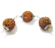 Wealth Combination 7 Face Rudraksha Combination