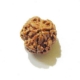 3 Face Nepali Rudraksha Bead 3 Face Nepali Rudraksha Bead
