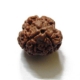 3 Face Nepali Rudraksha Bead 3 Face Nepali Rudraksha Bead