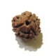 3 Face Nepali Rudraksha Bead 3 Face Nepali Rudraksha Bead