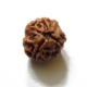3 Face Nepali Rudraksha Bead 3 Face Nepali Rudraksha Bead