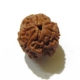 3 Face Nepali Rudraksha Bead 3 Face Nepali Rudraksha Bead