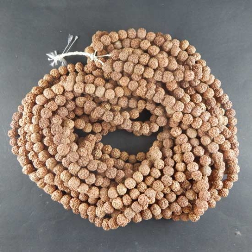 Chapelet de perles Rudraksha