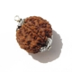 6 Face Nepali Rudraksha  Six Face Rudraksha Pendant