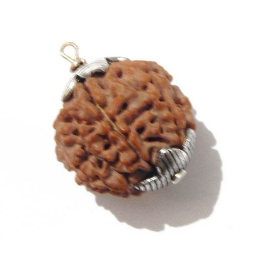 Six Face Rudraksha Pendant