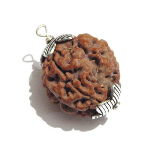 Four Face (Mukhi) Nepali Rudraksha Pendant