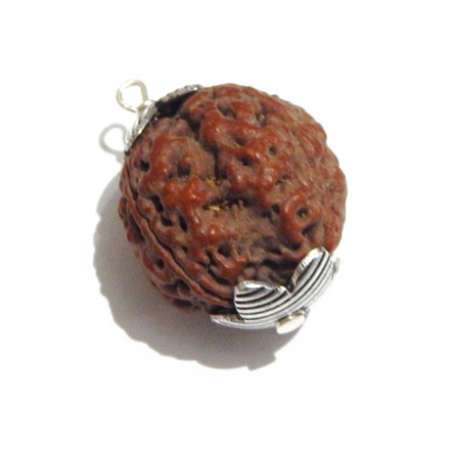 Four Face (Mukhi) Nepali Rudraksha Pendant