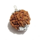 6 Face Nepali Rudraksha Pendant Six Face Rudraksha Pendant