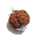 6 Face Nepali Rudraksha Pendant Six Face Rudraksha Pendant